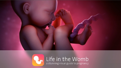 Life in the Womb was developed in Dublin