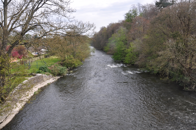 The Liffey at Newbridge