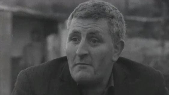 Michael Meaney