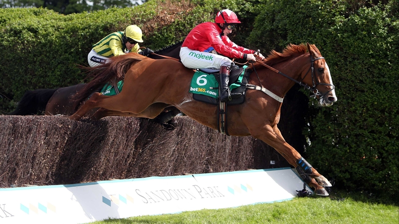 This year's Tingle Creek could see a fascinating duel between Sire De Grugy (pictured) and Sprinter Sacre