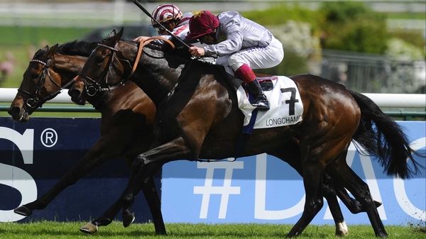 Treve will attempt to become the first two-time winner of the Prix Vermeille on Sunday
