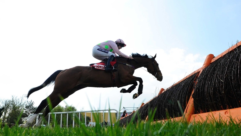 Faugheen will be sent to Aintree, Willie Mullins confirmed