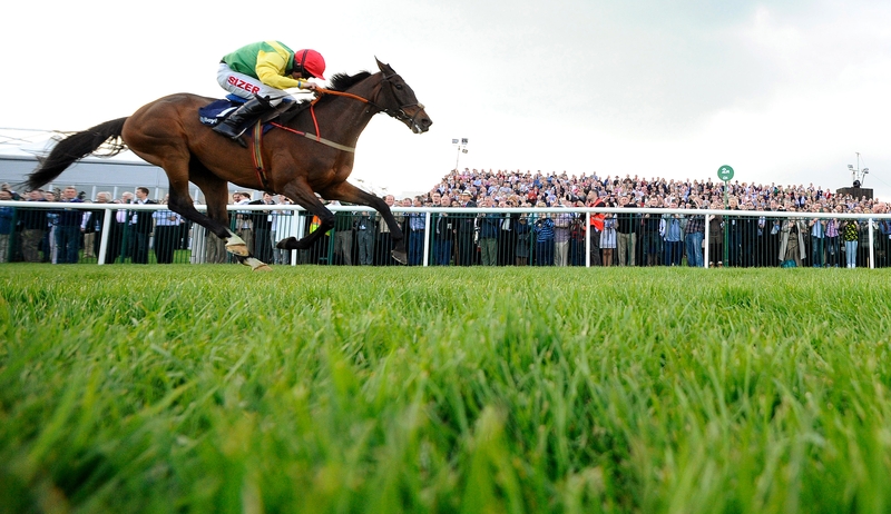 Sizing Europe may run at Ascot