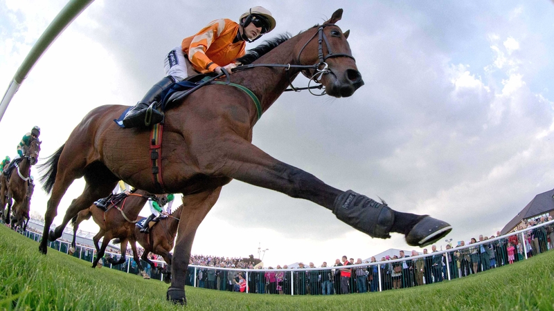 Twinlight is the big attraction at Sunday's Kerry Group Hilly Way Chase at Cork