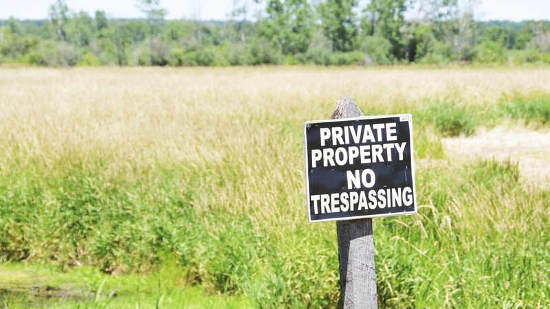 Windfall tax on land rezoning profits may be cut in October Budget