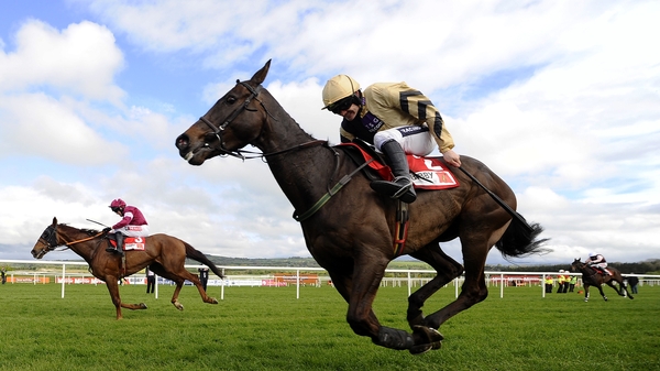 Boston Bob won the 2014 Punchestown Gold Cup