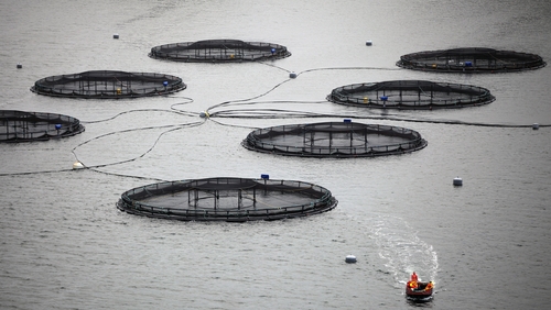 An application is currently with the Minister for Agriculture Food and the Marine