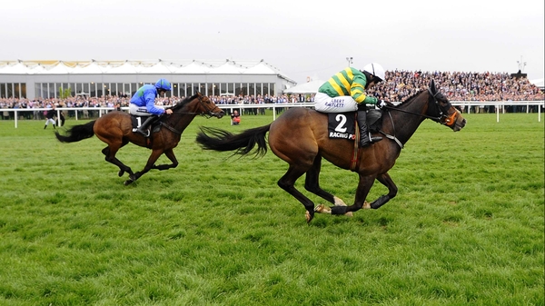 Jezki and Hurricane Fly dominate the betting for the Morgiana Hurdle, with Little King Robin a 16-1 shot with some firms