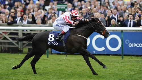 Speedball Sole Power has yet to win in seven attempts at six furlongs