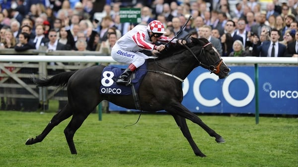 Speedball Sole Power has yet to win in seven attempts at six furlongs