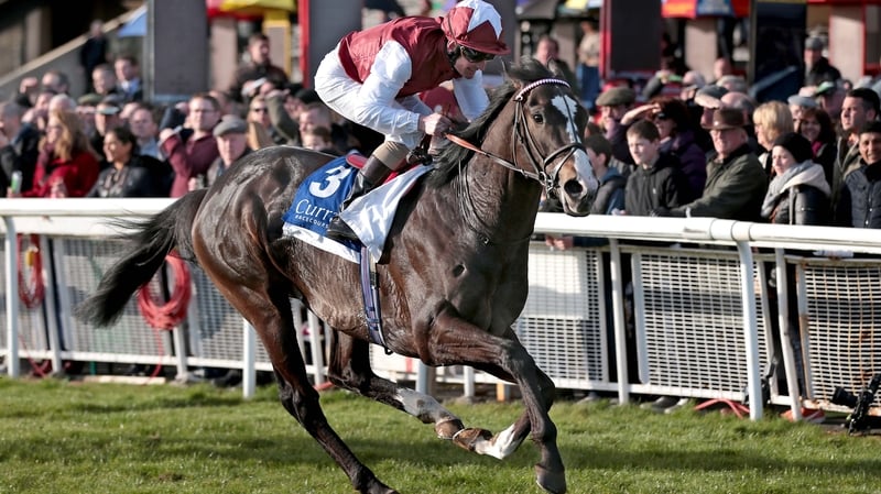 Jim Bolger's Answered (pictured) could take on Fascinating Rock at Leopardstown