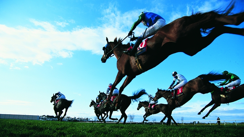 Horse Racing Ireland received €76 million in exchequer funding in 2021