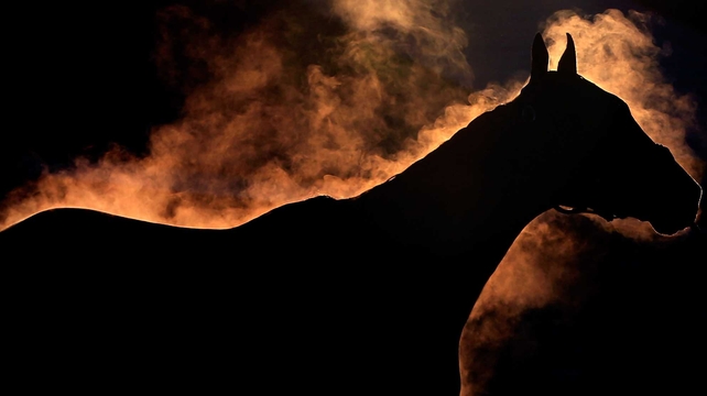 A horse gives off steam as it is bathed ahead of the Kentucky Derby at Churchill Downs