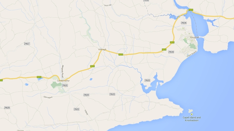The remains were found in Killeagh, east Cork