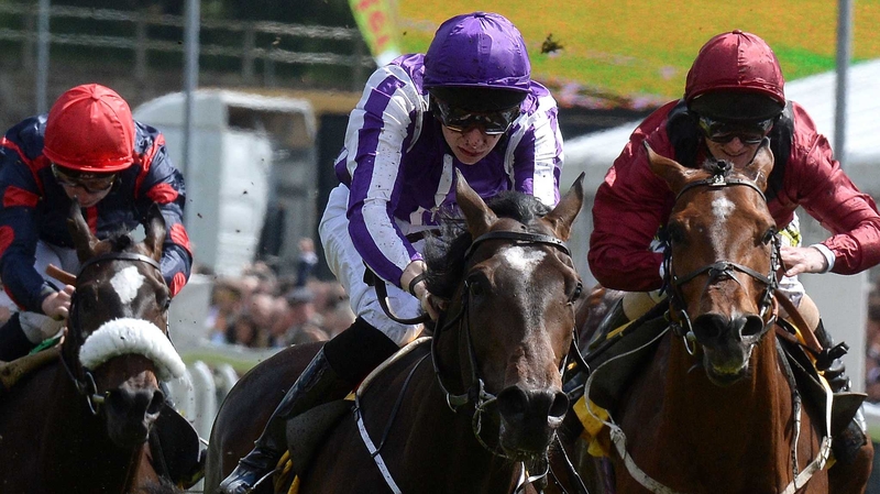 Kingfisher (C) unlikely to join Granddukeoftuscany in the Ladbrokes St Leger