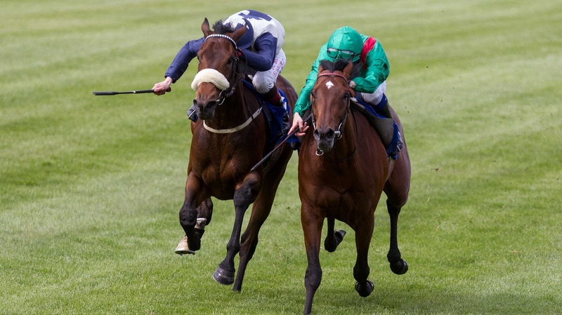 Dermot Weld is keen to give the Fastnet Rock colt (l) another try at a mile and a half