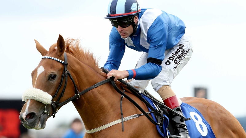 The mile-and-a-half trip of the Oaks should bring about significant improvement from Tarfasha, a half-sister to Saddler's Rock and Galileo Rock