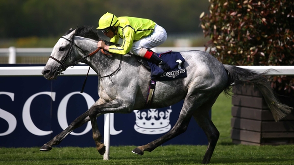 Tac De Boistron failed to make an impact on the very fast Ascot ground