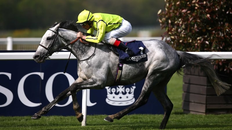 Tac De Boistron will shoulder a 7lb penalty in the Ormonde Stakes as a result of his Group One wins