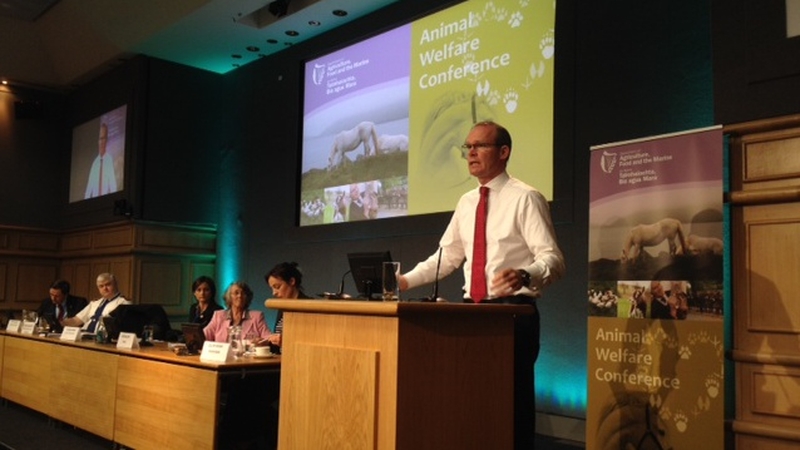 Simon Coveney has announced a review of the Control of Horses Act