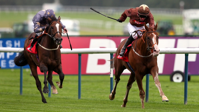 Top Notch Tonto may step up in distance following a disappointing showing at Newbury