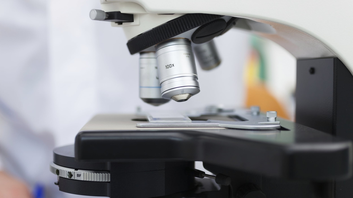 Is Europe keeping up in the science race?