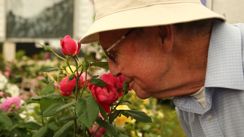 British ENT doctors have urged health authorities to advise people with sudden loss of smell or taste to self-isolate even if they have no other symptoms