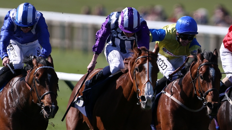 Shifting Power (C) finished fourth in the English Guineas