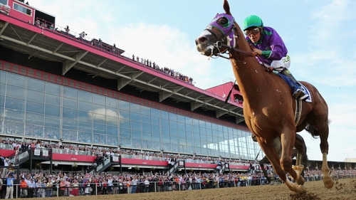 A close-up of California Chrome en route to winning the 139th running of the Preakness Stakes at Pimlico Race Course, Baltimore