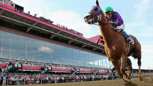 A close-up of California Chrome en route to winning the 139th running of the Preakness Stakes at Pimlico Race Course, Baltimore