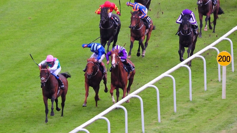 Kingman relished the soft underfoot conditions at the Curragh