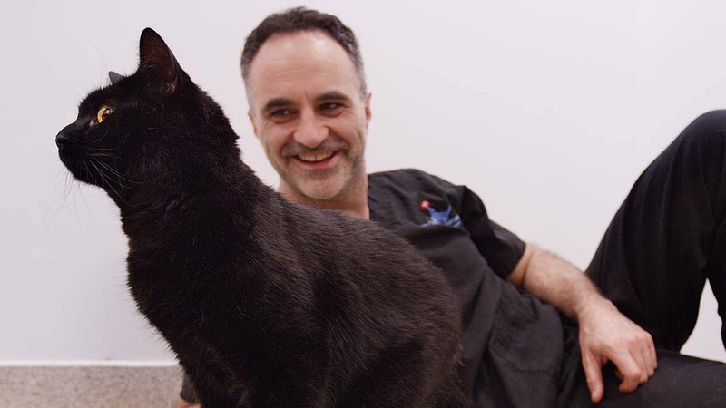 Cat's best friend...