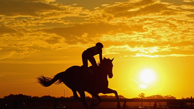 A horse and exercise rider train during sunrise at Belmont Park in Elmont, New York
