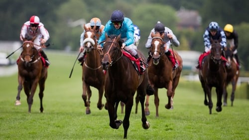 Brown Panther looks set to go in the Irish St Leger