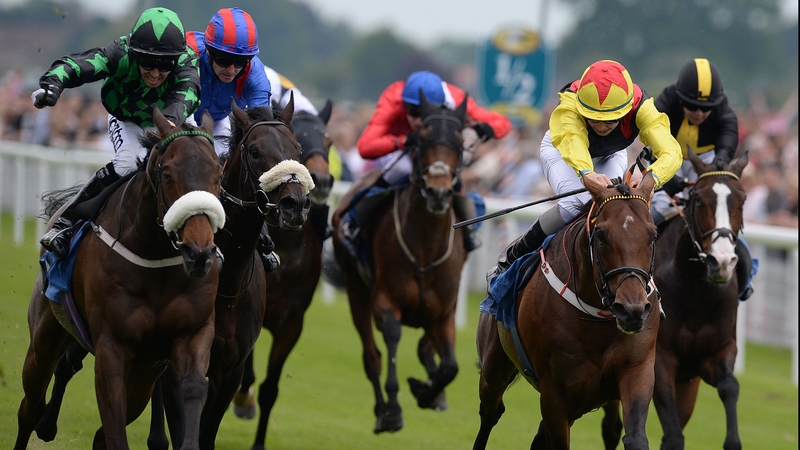 Clever Cookie (left) could run twice at York