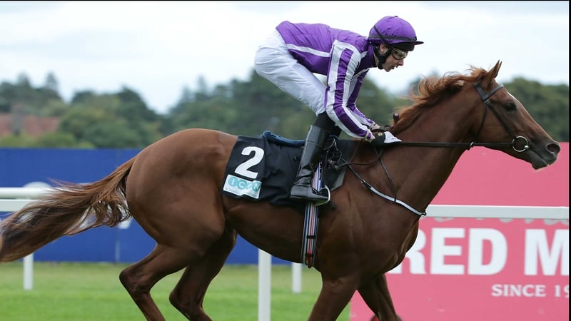 As the son of Derby winner Galileo out of Oaks heroine Ouija Board, Australia should relish the step up to a mile and a half