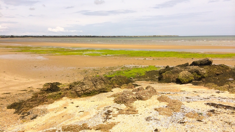 Portrane beach is among the Blue Flag recipients