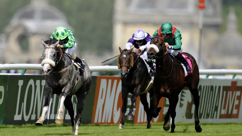 The Grey Gatsby may prove best on right-handed racecourses due to his tendency to hang in that direction in the latters stages of his races