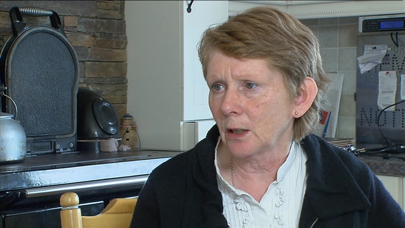 Catherine Corless said she declined an invitation to attend the civil reception with the pope in Dublin Castle