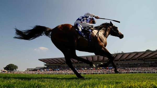 Al Kazeem is said to be in prime condition