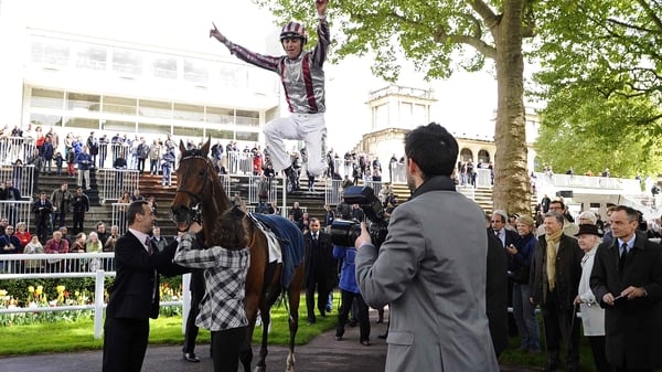 Old boy Cirrus Des Aigles has become a cult figure in racing circles in France