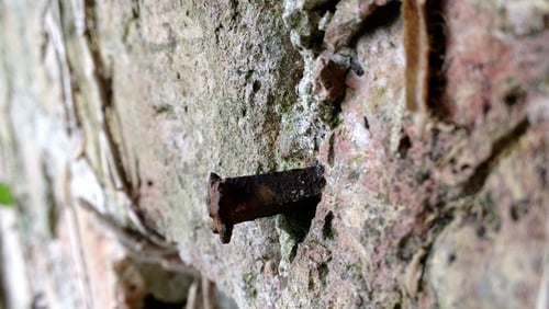 It is claimed that former staff indicated the presence of a baby's grave by hammering a square spiked nail in the wall