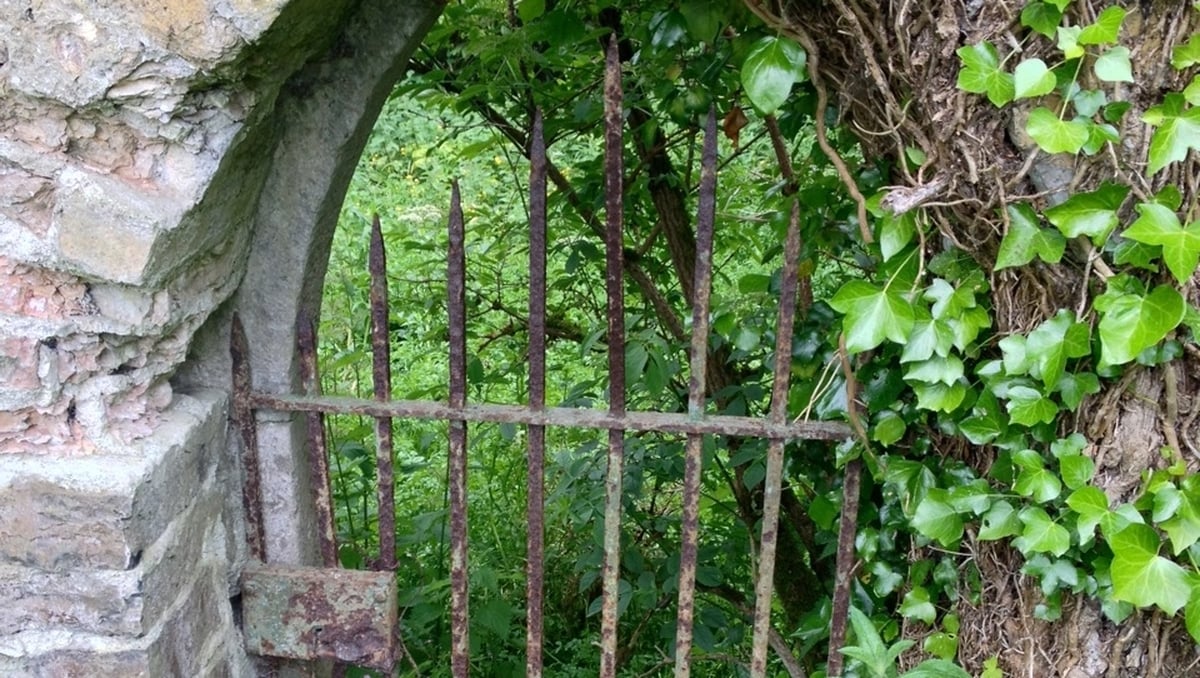More graves uncovered at the site of the former Mother and Baby Home in Tuam