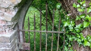 The campaign to give equal rights to survivors of mother and baby homes who live in Britain  show image