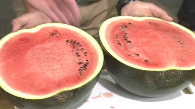 Watermelon Ginita: Rachel Allen