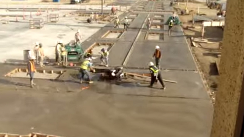 Can they tame the beast?