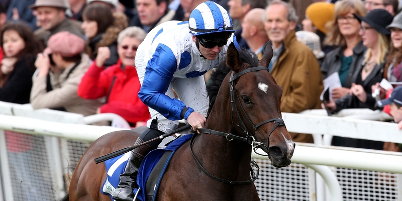 Cappella Sansevero looks the horse to beat in the Round Tower Stakes