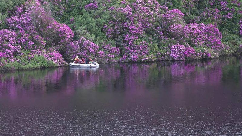 Rescuers described the operation as one of their most difficult