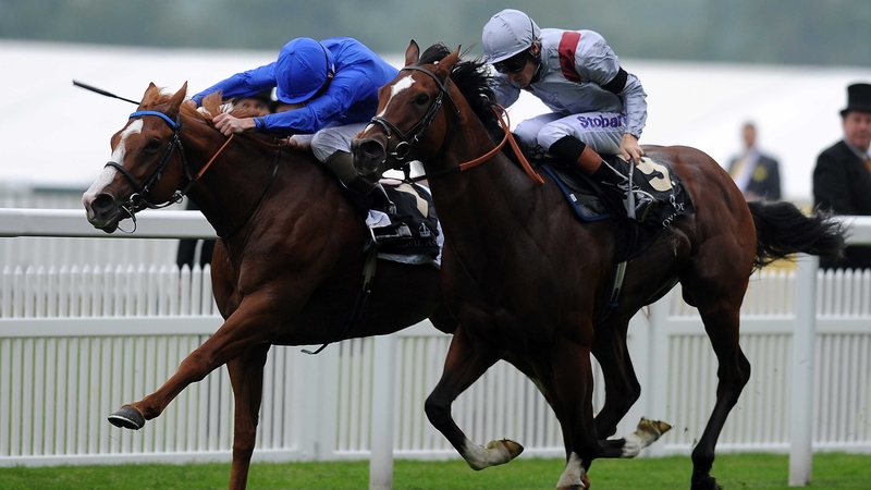 Toronado (near side) found only Dawn Approach too good at Royal Ascot 12 months ago