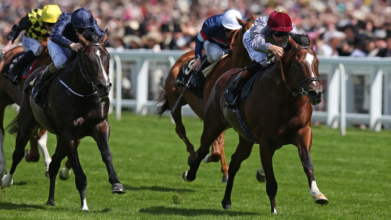 Toronado, ridden by Richard Hughes. breaks away to win the Queen Anne Stakes